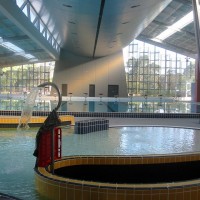 Junior Pool Area – Acoustic curved bulkheads, sloping ceiling sections, partitions and linings